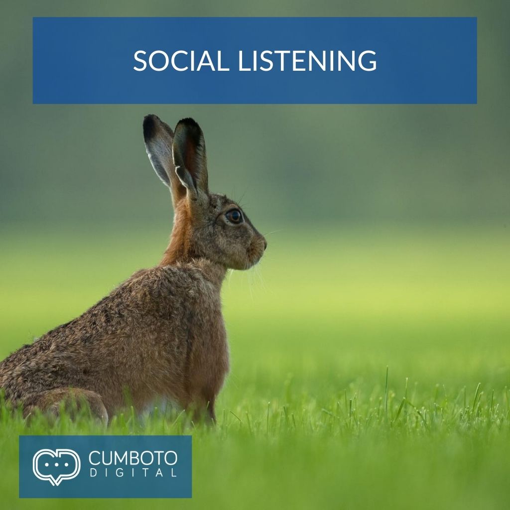 Qué es Social Listening