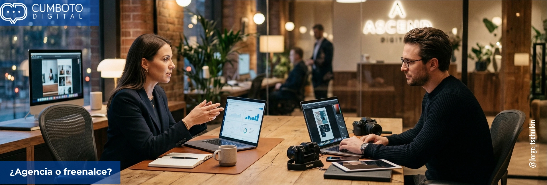 agencia o freelance